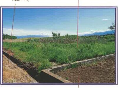 山梨県甲斐市 塩崎駅13分 農地 12万円の競売物件 #5