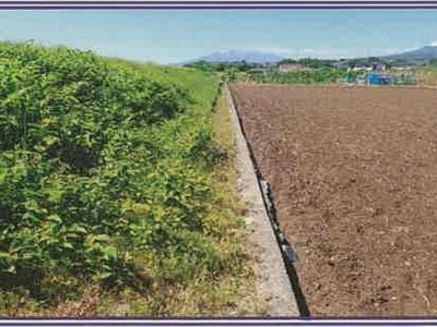 山梨県甲斐市 塩崎駅13分 農地 19万円の競売物件 #10