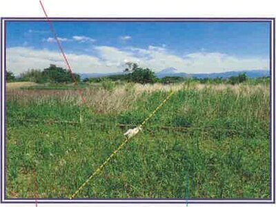 山梨県甲斐市 塩崎駅13分 農地 19万円の競売物件 #21