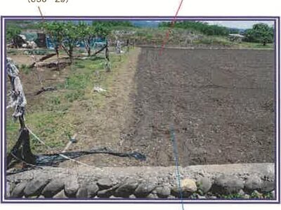 山梨県甲斐市 塩崎駅13分 農地 19万円の競売物件 #24