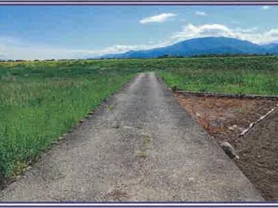 山梨県甲斐市 塩崎駅13分 農地 19万円の競売物件 #33