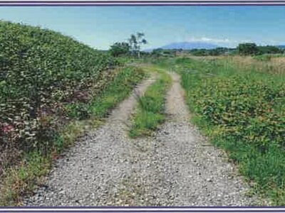 山梨県甲斐市 塩崎駅13分 農地 19万円の競売物件 #35