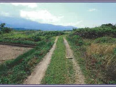 山梨県甲斐市 塩崎駅13分 農地 19万円の競売物件 #37