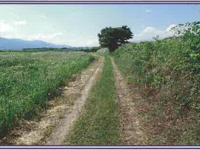 山梨県甲斐市 塩崎駅13分 農地 19万円の競売物件 #38