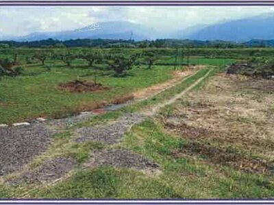 山梨県甲斐市 塩崎駅13分 農地 19万円の競売物件 #39