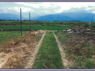 山梨県甲斐市 塩崎駅13分 農地 19万円の競売物件 #40