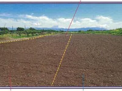 山梨県甲斐市 塩崎駅13分 農地 19万円の競売物件 #5