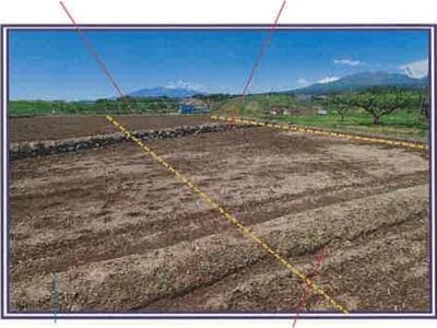 山梨県甲斐市 塩崎駅13分 農地 19万円の競売物件 #6