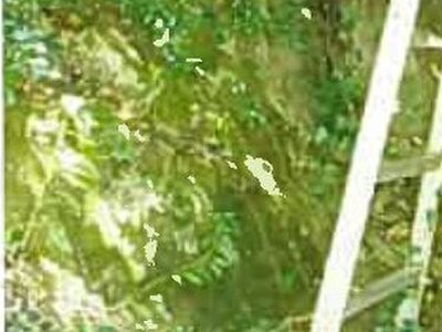 島根県雲南市 木次駅 戸建て 62万円の競売物件 #6