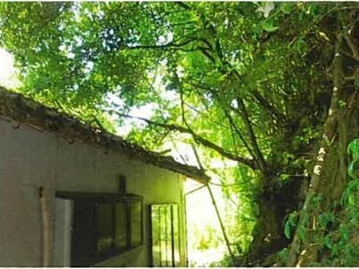 島根県雲南市 木次駅 戸建て 62万円の競売物件 #8