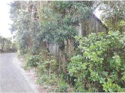 (値下げ) 千葉県館山市 館山駅 農地 122万円の競売物件 #16