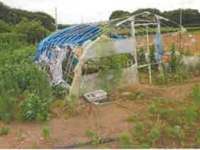 千葉県富里市 芝山千代田駅 戸建て 397万円の競売物件 #7