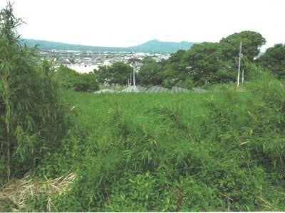 静岡県富士宮市 入山瀬駅9分 農地 72万円の競売物件 #4