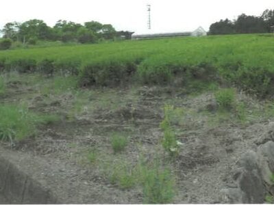 静岡県富士宮市 富士根駅16分 農地 148万円の競売物件 #2