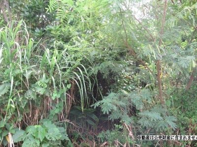 沖縄県うるま市 土地 21万円の国税庁公売物件 #1