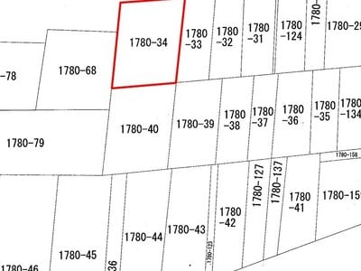 栃木県日光市 明神駅23分 土地 55万円の国税庁公売物件 #3