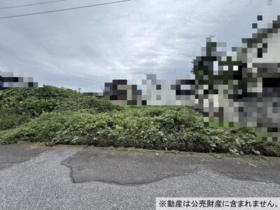 栃木県日光市 下野大沢駅 土地 60万円の国税庁公売物件 #1