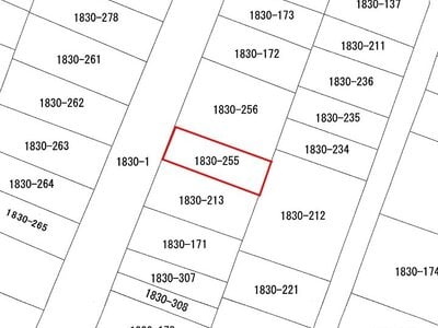 栃木県日光市 下野大沢駅 土地 60万円の国税庁公売物件 #3
