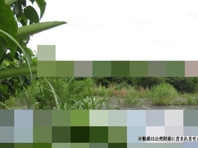 沖縄県うるま市 土地 70万円の国税庁公売物件 #1