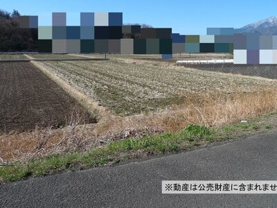 (値下げ) 神奈川県厚木市 本厚木駅 農地 100万円の国税庁公売物件 #2