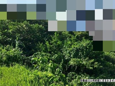 沖縄県うるま市 土地 310万円の国税庁公売物件 #2