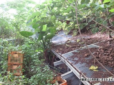 沖縄県うるま市 土地 360万円の国税庁公売物件 #1