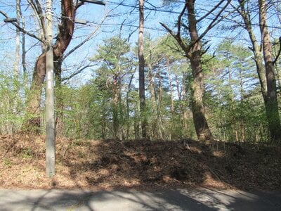 (値下げ) 山梨県南都留郡鳴沢村 河口湖駅 土地 52万円の官公庁公売物件 #2