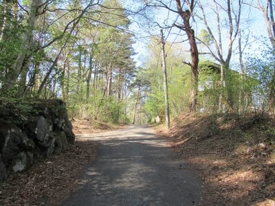 (値下げ) 山梨県南都留郡鳴沢村 河口湖駅 土地 52万円の官公庁公売物件 #4