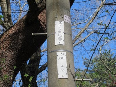 (値下げ) 山梨県南都留郡鳴沢村 河口湖駅 土地 52万円の官公庁公売物件 #5