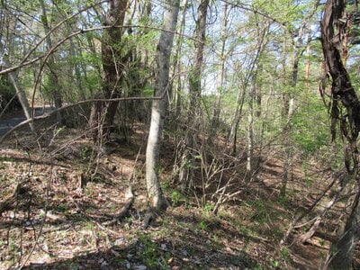 (値下げ) 山梨県南都留郡鳴沢村 河口湖駅 土地 52万円の官公庁公売物件 #6