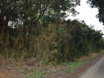 茨城県小美玉市 徳宿駅 土地 59万円の官公庁公売物件 #1