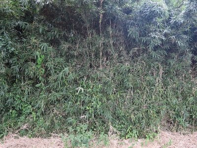 茨城県小美玉市 徳宿駅 土地 59万円の官公庁公売物件 #2