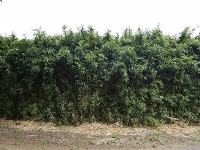 茨城県小美玉市 徳宿駅 土地 59万円の官公庁公売物件 #3