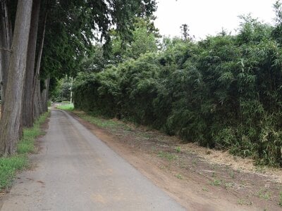 茨城県小美玉市 徳宿駅 土地 59万円の官公庁公売物件 #4