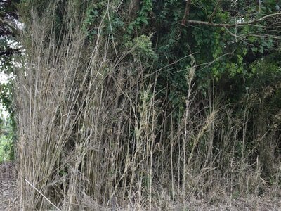 茨城県小美玉市 徳宿駅 土地 59万円の官公庁公売物件 #7