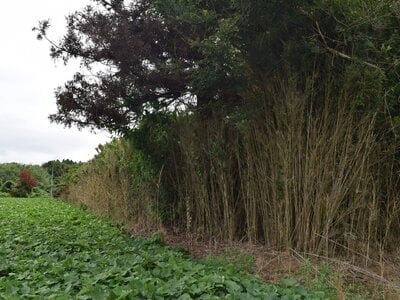 茨城県小美玉市 徳宿駅 土地 59万円の官公庁公売物件 #8