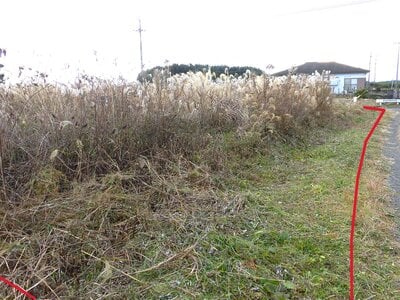 鹿児島県曽於市 五十市駅 土地 88万円の官公庁公売物件 #6