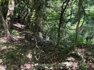 千葉県君津市 上総亀山駅22分 土地 40万円の官公庁公売物件 #2