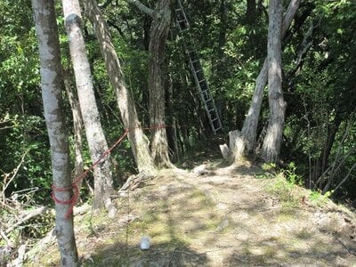 千葉県君津市 上総亀山駅22分 土地 40万円の官公庁公売物件 #3