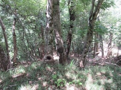 千葉県君津市 上総亀山駅22分 土地 40万円の官公庁公売物件 #5