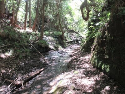 千葉県君津市 上総亀山駅22分 土地 40万円の官公庁公売物件 #7