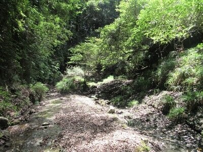 千葉県君津市 上総亀山駅22分 土地 40万円の官公庁公売物件 #8