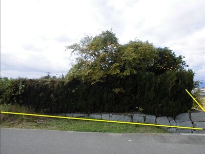 愛媛県西条市 伊予西条駅 戸建て 510万円の官公庁公売物件 #4