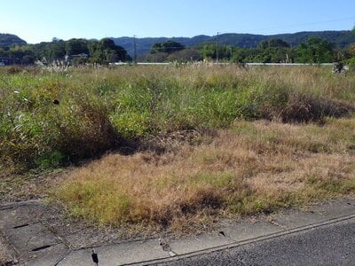 福岡県豊前市 豊前松江駅 土地 273万円の官公庁公売物件 #1