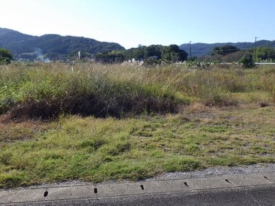 福岡県豊前市 豊前松江駅 土地 273万円の官公庁公売物件 #2