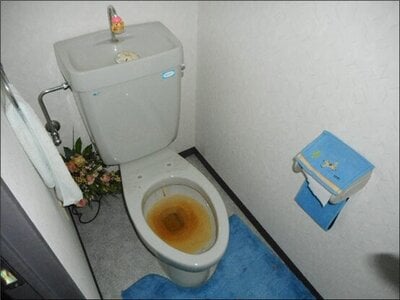 (値下げ) 新潟県南魚沼郡湯沢町 マンション「ノエル苗場」21万円の官公庁公売物件 #13