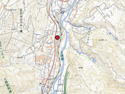 新潟県南魚沼市 ガーラ湯沢駅25分 マンション「ピステ石打」17万円の官公庁公売物件 #19