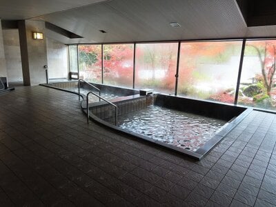 新潟県南魚沼市 ガーラ湯沢駅25分 マンション「ピステ石打」17万円の官公庁公売物件 #5