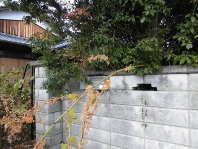 愛媛県西条市 伊予三芳駅 戸建て 230万円の官公庁公売物件 #5