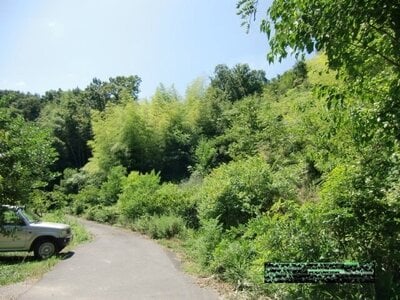 (値下げ) 兵庫県神戸市西区 木幡駅10分 土地 268万円の官公庁公売物件 #5